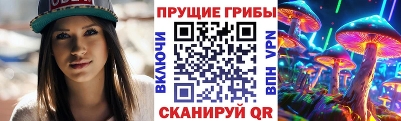 Галлюциногенные грибы прущие грибы  ОМГ ОМГ онион  Гаврилов Посад  наркота 