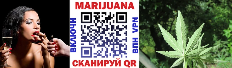 блэк спрут как зайти  Гаврилов Посад  Каннабис сатива 